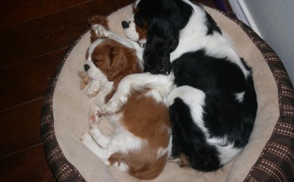 Hello! My name is Melissa