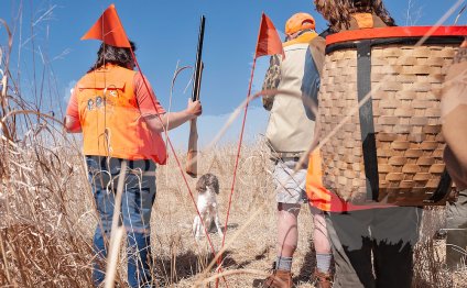 The 2014 English Cocker