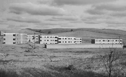Black white and tan Cocker Spaniel