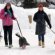 King Charles Spaniel Mixes