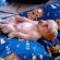Working Cocker Spaniel puppies Scotland