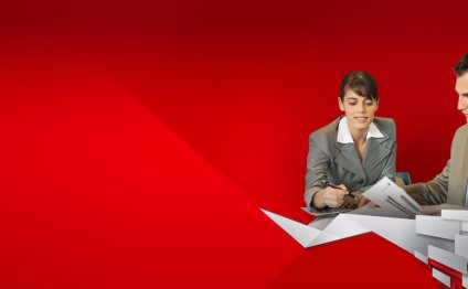 English Springer Spaniel Shedding