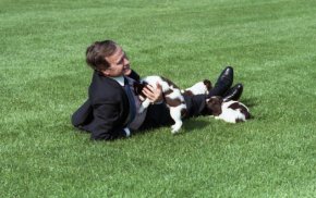 President Bush plays with Millie and her puppies.