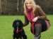 Black working Cocker Spaniel puppies for sale