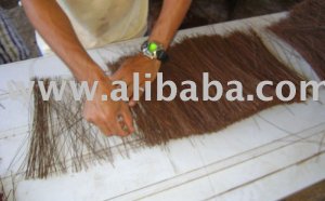 Springer Spaniel Rescue Oregon