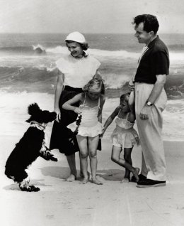 Richard Nixon's dog Checkers