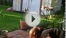 English Springer Spaniel Puppies - The boys in their pool