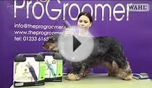 Grooming Guide - Cocker Spaniel - Salon/Pet Trim - Pro Groomer