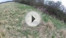 Working Cocker Spaniel Hunting GO PRO HERO 2 CAMERA