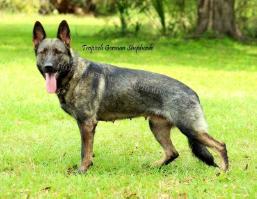 Czech import-proven female