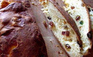 English Springer Spaniel Rescue Illinois