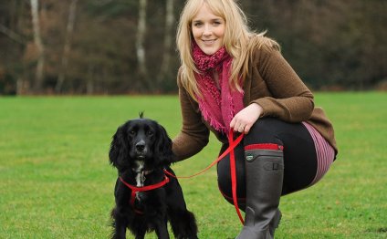 Black working Cocker Spaniel puppies for sale