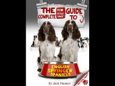 English Springer Spaniel Adoption