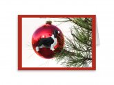 English Springer Spaniel Christmas Card