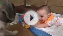 Puppies and Babies Playing Together Compilation 2014