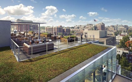 Middot Atlantic English Springer Spaniel Rescue